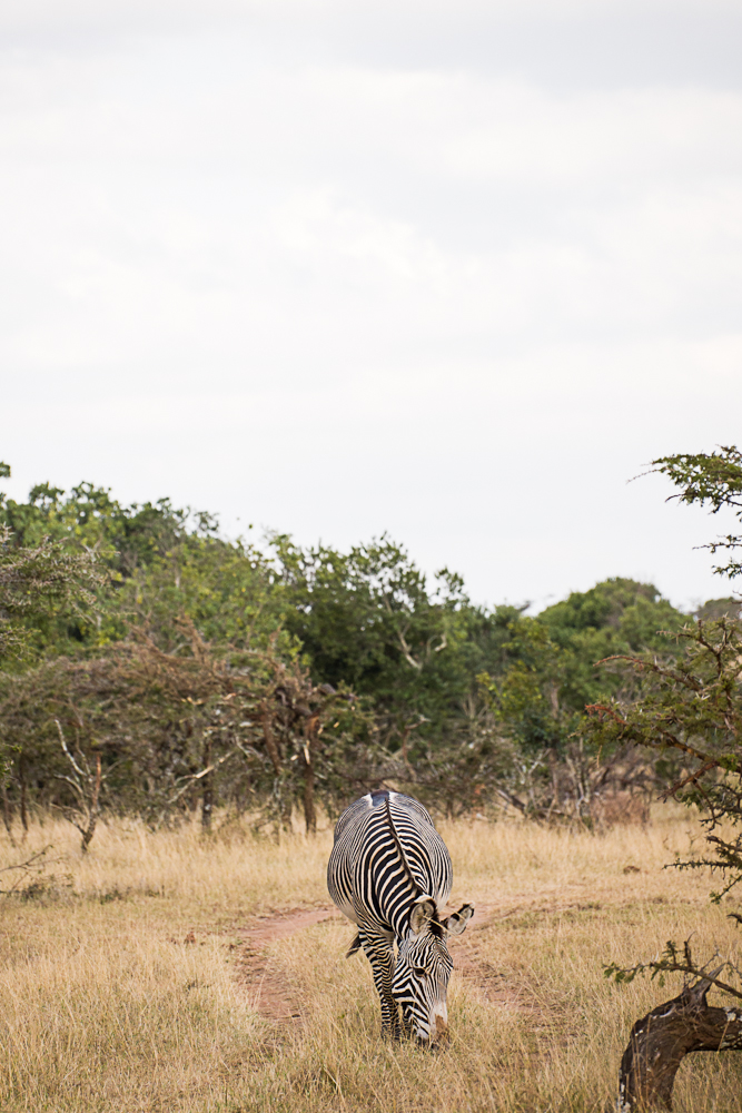 laikipia